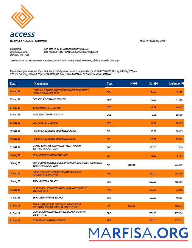Printable Access Bank company checking account statement Word and PDF template